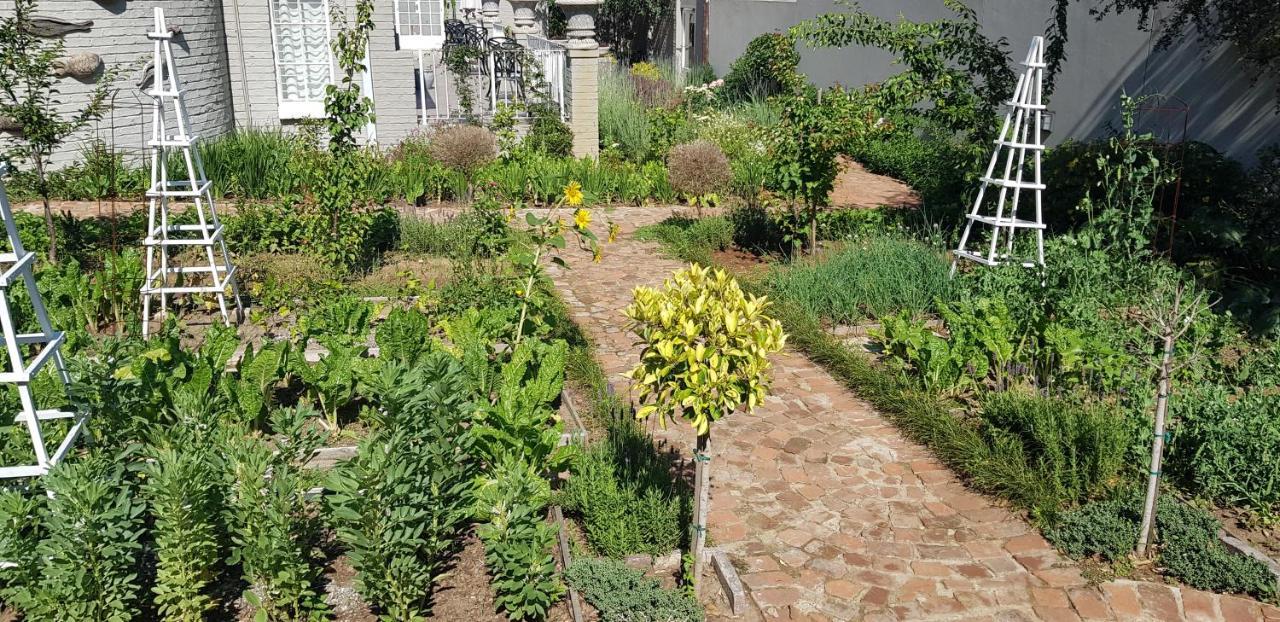Villa Moi 요하네스버그 외부 사진
